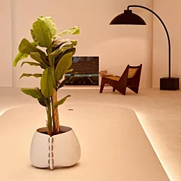 Decofire New Showroom

ecosmartfire mdesignfireplaces